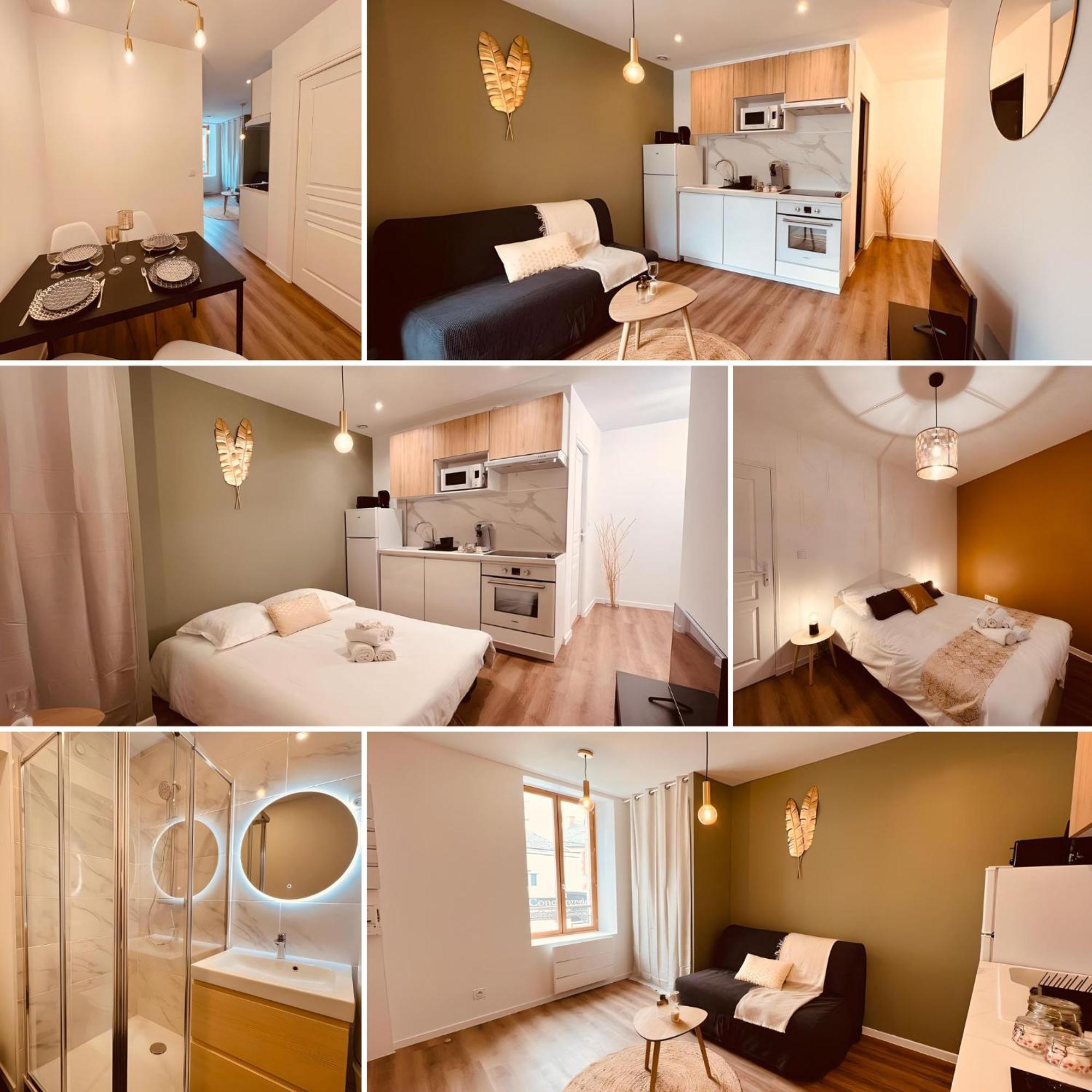 Le Golden - Home Homy Vierzon Dış mekan fotoğraf